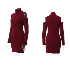 Turtleneck Off-The-Shoulder Full-Sleeve Bodycon Winter Bandage Dress